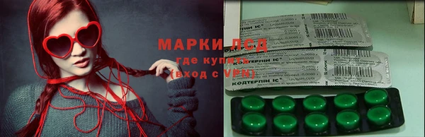 ECSTASY Алзамай