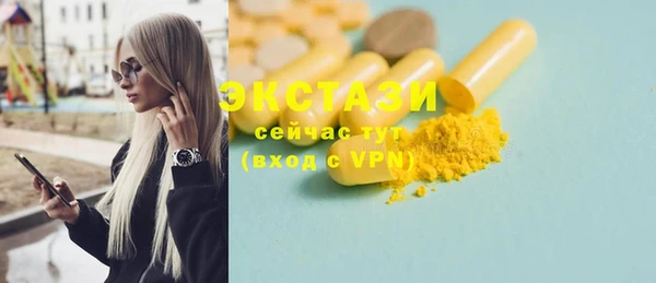 ECSTASY Алзамай