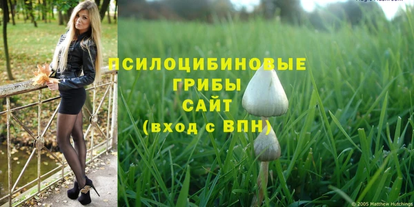 хмурый Горно-Алтайск